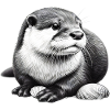 Otter
