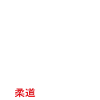 judo
