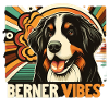 Bouvier bernois
