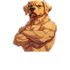 Dog dogs I have to fuck