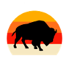 Bison Prairie Bison Dictons