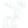 elk