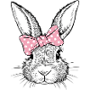 Rabbit with pink bow