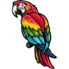 Macaw parrot