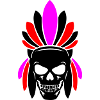 Crâne indien