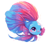 Bettas Betta Poisson Betta