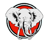 Elephant Elephant