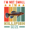 Killifish Quarium Fish
