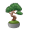 Tree Friend Bonsai Meditation Spiritual