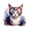 Beautiful cat design