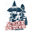 Schietwetter Bär