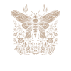 Papillon de nuit Fairycore