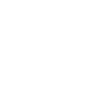 Sim Racing