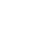 Sim Racing