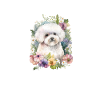 Cadeaux Bichon Frisé