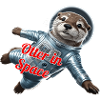 Otter in Space