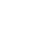 Cute squirrel with bushy tail