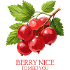 Red Currant Fruit