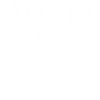 White Wolf