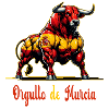 The pride of Murcia flag design