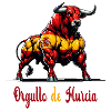 The pride of Murcia flag design