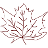 Autumn Season Maple Leaf Autumn