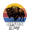 Buffalo Bison