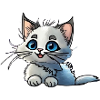 Baby Kitty