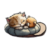 Sleepy Cat