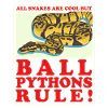 King Python Python Snake Gift
