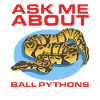 King Python Python Snake Gifts
