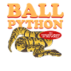 King Python Python Snakes Gift