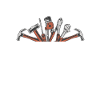 Mr Fix it