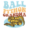 Königspython Oma Python Schlange Geschenk