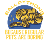 Königspython Schlangen Python Geschenk