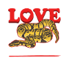Königspython Schlangen Python Geschenke