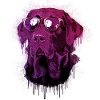 Labrador mit Sonnenbrille