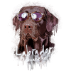 Labrador mit Sonnenbrille