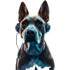 Doggo DJ