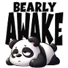 Panda bear awake