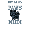 Mudi Papa