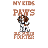 Old Danish Pointing Dog Papa
