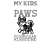 Norwegian Elkhound Dad