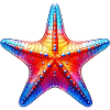 Starfish