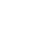 Sim Racing