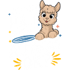 Alpaca llama alpacas animal