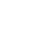 Logo Blanc Snekkar