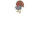 Turkey Turkeys Turkey