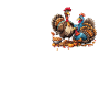 Turkey Turkeys Turkey