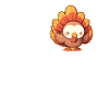 Turkey Turkeys Turkey